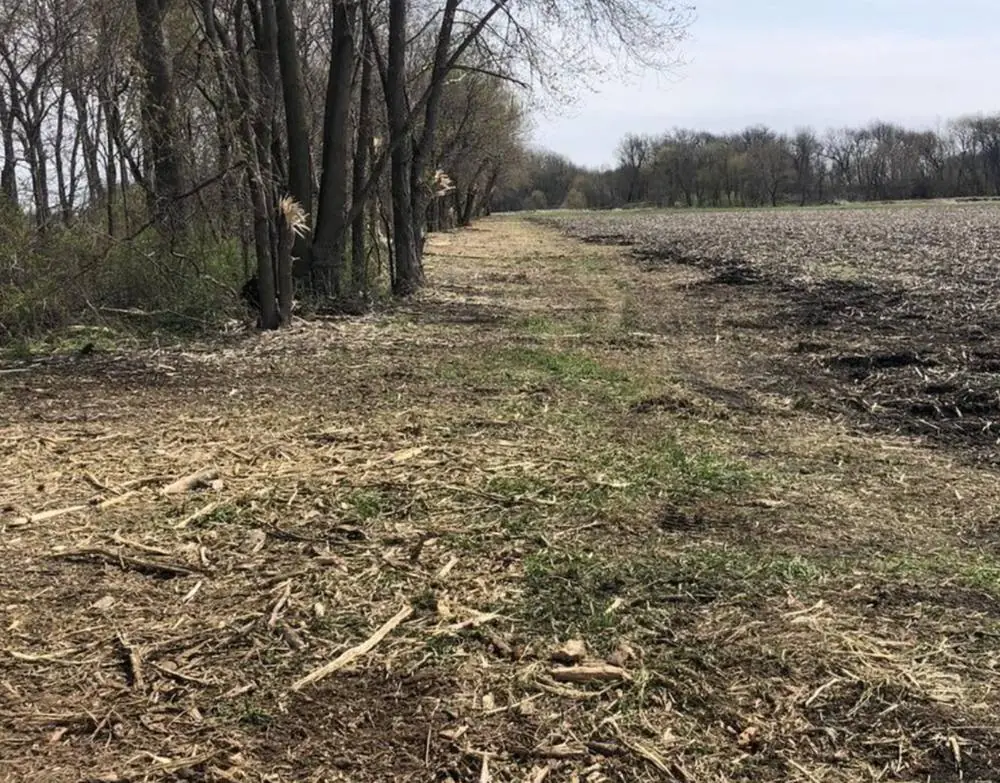 Fence row cleared back to the field edge, mulch left on the ground
